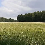 Daire Schoene Und Ruhige In Ottendorf *