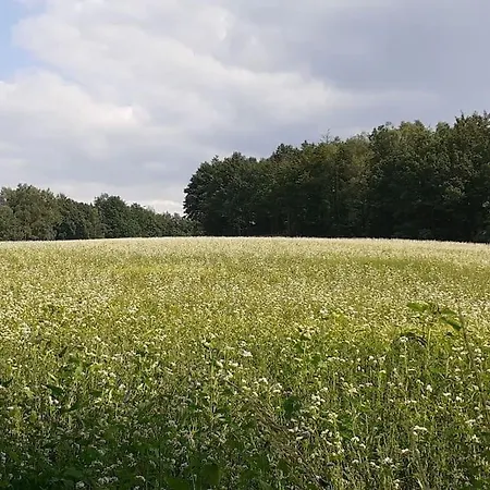 Apartamento Schoene Und Ruhige In Ottendorf *