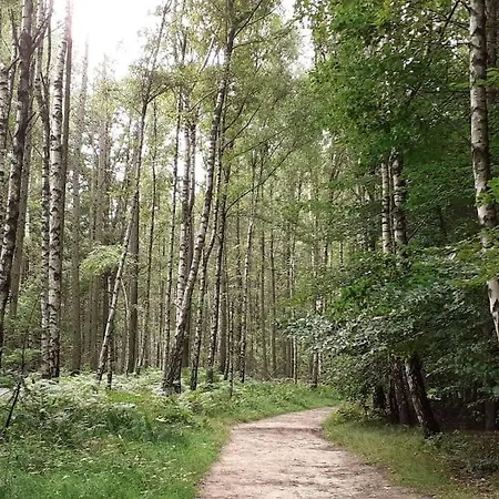 Schoene Und Ruhige In Ottendorf Apartamento