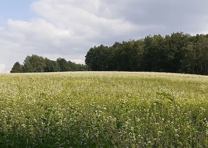 شقة Schoene Und Ruhige In Ottendorf *