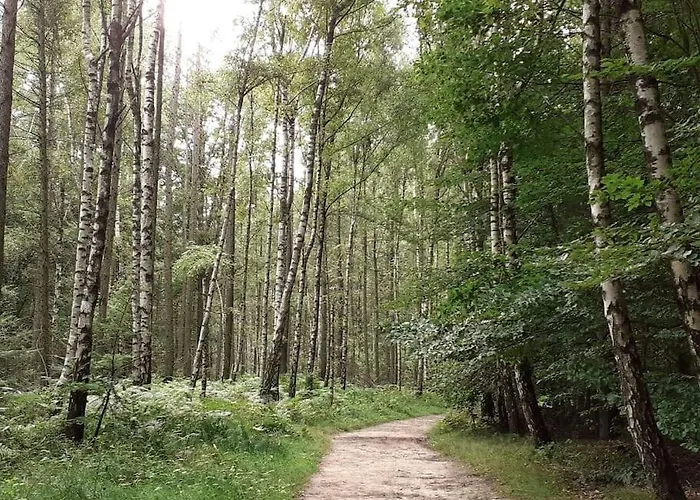 Schoene Und Ruhige In Ottendorf Apartamento
